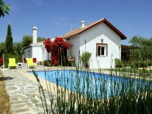 Villa in Spanien mit privatem Pool