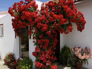 Casa vacanze Arriate  20