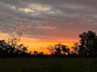 Holiday cottage Arriate Environment 10