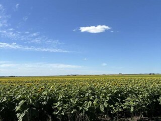 Cottage Arriate Umgebung 17