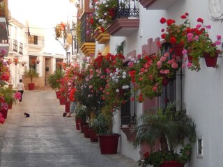 Ferienhaus Gaucín Umgebung 39