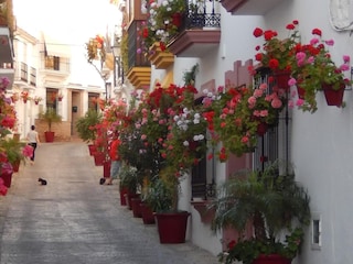 Holiday house Gaucín Environment 39