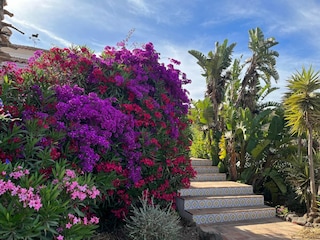 Villa Vélez-Málaga Außenaufnahme 13