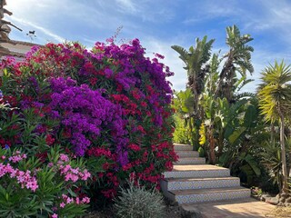 Villa Vélez-Málaga Buitenaudio-opname 10