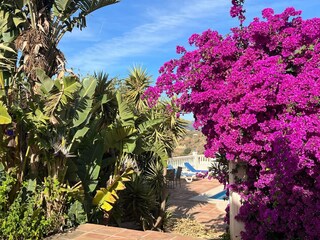 Villa Vélez-Málaga Buitenaudio-opname 11