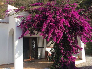 Villa Arenas Buitenaudio-opname 12