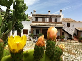 Vakantiehuisje Periana Buitenaudio-opname 11