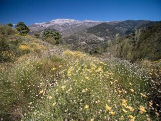 Maison de vacances Periana Environnement 30