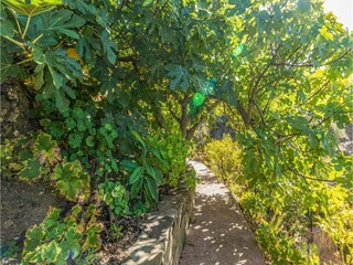 Casa de vacaciones Periana Entorno 37