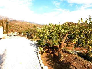 Holiday house Sedella Outdoor Recording 2
