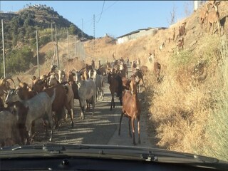 Villa Arenas Environnement 29