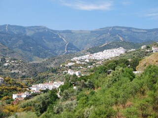 Villa Arenas Environment 31