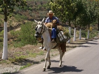 Ferienhaus Arenas Umgebung 30