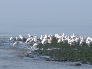 Vakantiehuis Callantsoog Omgeving 17