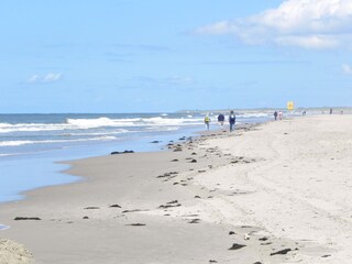 Vakantiehuis Callantsoog Omgeving 19