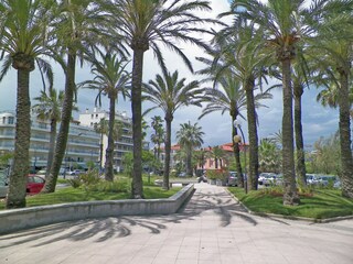 Apartment Antibes Outdoor Recording 4