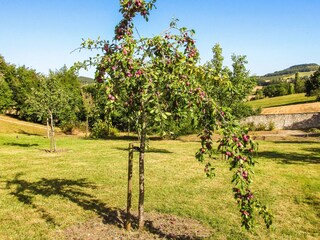 Maison de vacances Tournon-d'Agenais Enregistrement extérieur 10