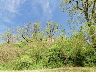 Casa per le vacanze Tournon-d'Agenais Registrazione all'aperto 9