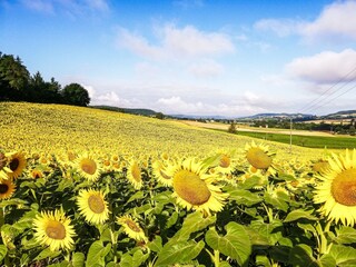 Vakantiehuis Tournon-d'Agenais Omgeving 25