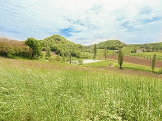 Casa per le vacanze Tournon-d'Agenais Ambiente 35