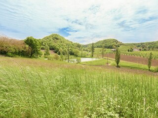 Vakantiehuis Tournon-d'Agenais Omgeving 31