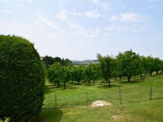 Casa de vacaciones Tournon-d'Agenais Entorno 34