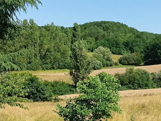Ferienhaus Tournon-d'Agenais Umgebung 26