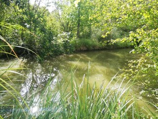 Holiday house Tournon-d'Agenais Environment 27