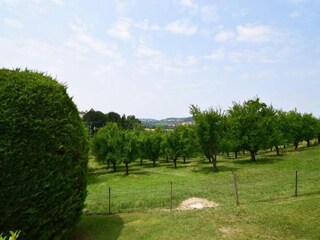 Maison de vacances Tournon-d'Agenais Environnement 28