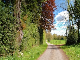 Holiday cottage Roussines Environment 32