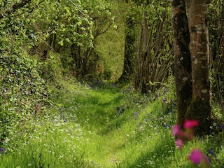 Holiday cottage Roussines Environment 29