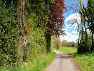 Cottage Roussines Umgebung 31