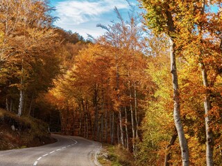Fattoria Saint-Pierre-de-Colombier  38