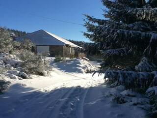 Type de propriété : Ferme Saint-Pierre-de-Colombier  40