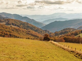 Fattoria Saint-Pierre-de-Colombier Ambiente 34