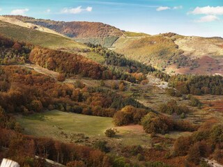 Fattoria Saint-Pierre-de-Colombier Registrazione all'aperto 2