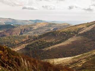 Type de propriété : Ferme Saint-Pierre-de-Colombier Enregistrement extérieur 11