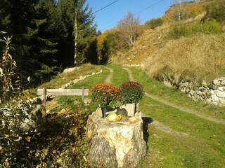 Fattoria Saint-Pierre-de-Colombier Registrazione all'aperto 10