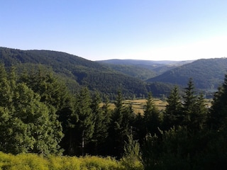 Fattoria Saint-Pierre-de-Colombier Ambiente 31