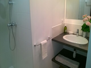 Villa Puilacher Caratteristiche 13