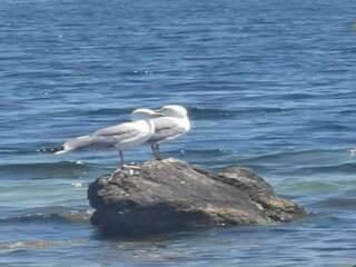 Villa Puilacher Environnement 30