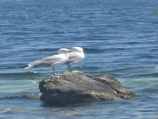 Villa Puilacher Entorno 28