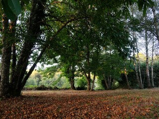 Casa de vacaciones Laval-sur-Luzège Grabación al aire libre 10