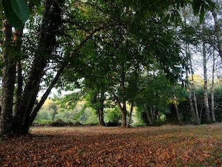 Holiday house Laval-sur-Luzège Outdoor Recording 8