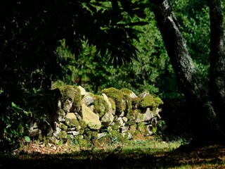 Casa de vacaciones Laval-sur-Luzège Grabación al aire libre 8