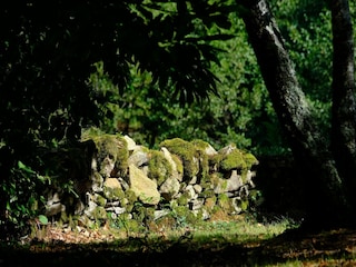 Vakantiehuis Laval-sur-Luzège Buitenaudio-opname 5