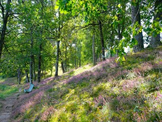 Maison de vacances Laval-sur-Luzège Environnement 34