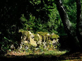 Maison de vacances Laval-sur-Luzège Enregistrement extérieur 10