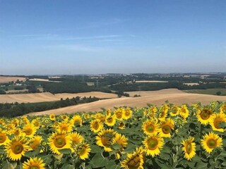 Casa per le vacanze Plieux Ambiente 38