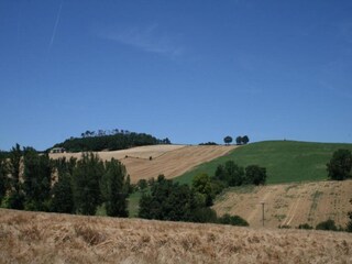 Casa per le vacanze Plieux Ambiente 32